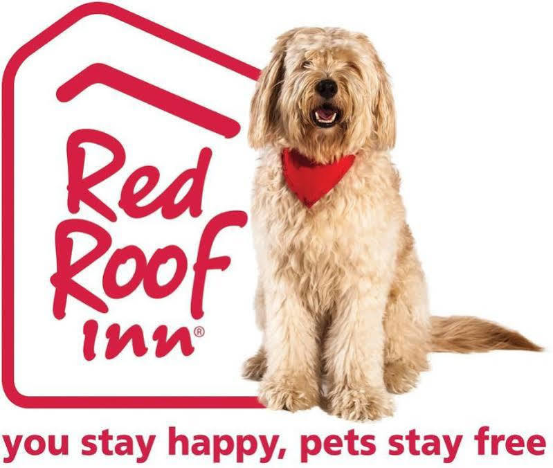 Red Roof Inn Plus+ Columbus-Ohio State University Osu Eksteriør bilde